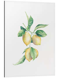 Tableau en aluminium Citrons