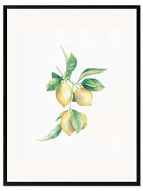 Framed art print Lemons