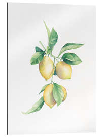 Gallery print Lemons