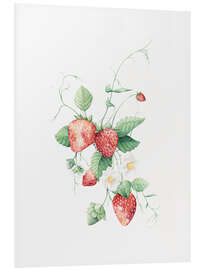 Foam board print Strawberries