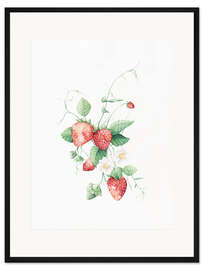 Gerahmter Kunstdruck Erdbeeren