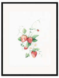 Plakat artystyczny premium w ramie Strawberries