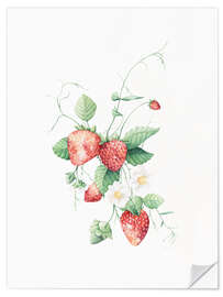 Selvklebende plakat Strawberries