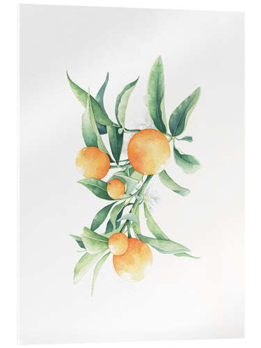 Acrylglas print Oranges