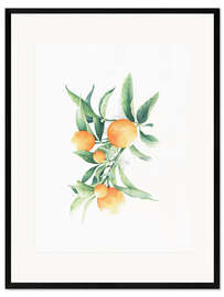 Framed art print Oranges