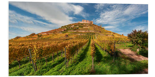 Hartschaumbild Weinberg mit Burgruine in Staufen