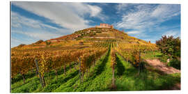 Gallery print Vineyard with castle ruins in Staufen