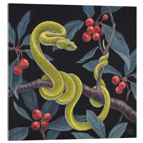 Acrylic print Golden Snake