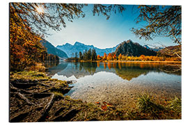 Aluminium print Autumn mood at the Almsee