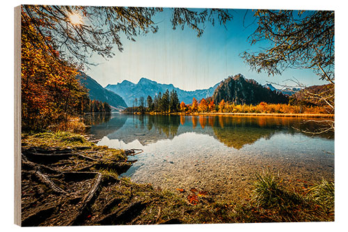 Trebilde Autumn mood at the Almsee