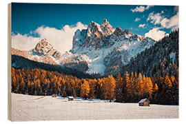 Holzbild Dürrenstein Südtirol