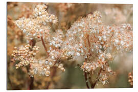 Alumiinitaulu Real meadowsweet