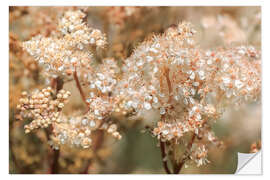 Wall sticker Real meadowsweet