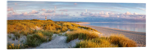 Obraz na szkle akrylowym On the dune beach on Sylt