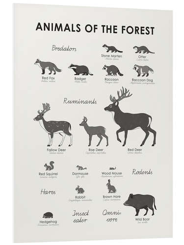 Tableau en PVC Animaux de la forêt (anglais)