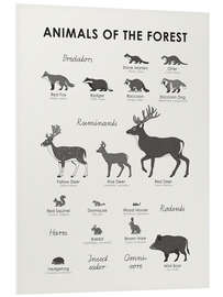 Foam board print Animals of the forest