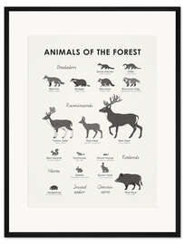 Gerahmter Kunstdruck Tiere des Waldes (englisch)