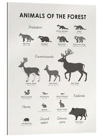 Stampa su plexi-alluminio Animali della foresta (inglese)