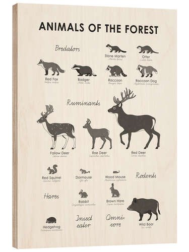 Cuadro de madera Animales del bosque (inglés)