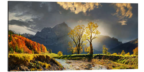 Tableau en aluminium Érables lumineux dans le Karwendel