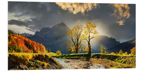 Foam board print Luminous maple trees in the Karwendel