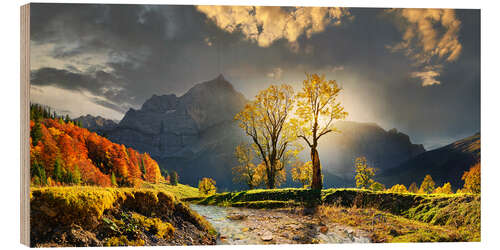 Trätavla Luminous maple trees in the Karwendel