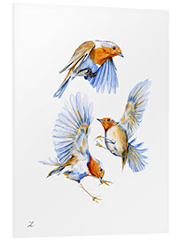 Foam board print Three Robins