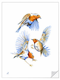 Selvklebende plakat Three Robins