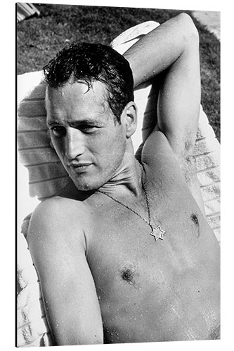 Aluminium print Paul Newman