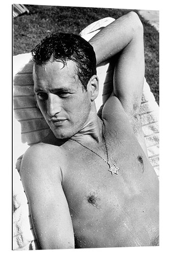 Gallery print Paul Newman