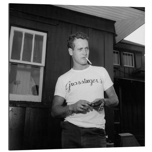 Aluminium print Paul Newman