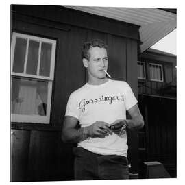 Galleriprint Paul Newman