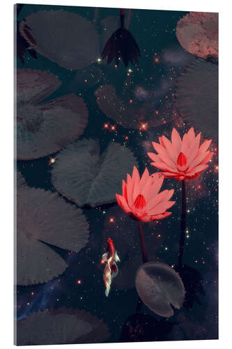 Akryylilasitaulu Swimming Through Space