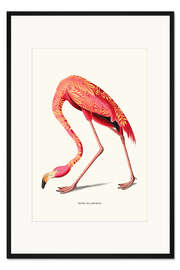 Gerahmter Kunstdruck Boho Flamingo