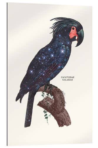 Gallery print GALAXY BIRD