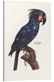 Magnettafel Galaxie Vogel