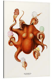 Magnettafel Eis Oktopus