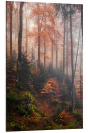 Tableau en aluminium Dans la forêt de nuages