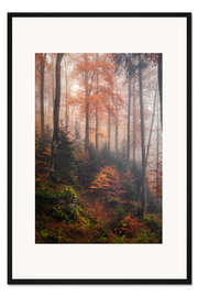 Gerahmter Kunstdruck Im Nebelwald
