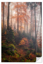 Selvklebende plakat In the cloud forest