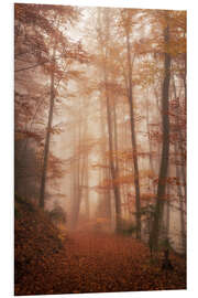 Foam board print Autumn forest