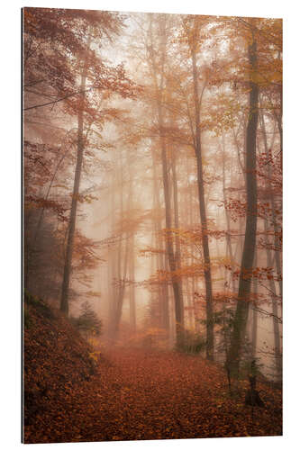 Galleriprint Autumn forest