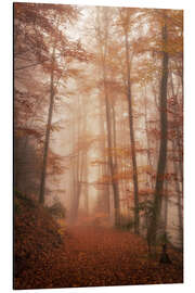 Magnettafel Herbstwald