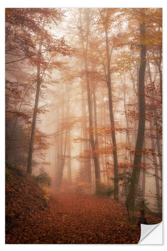 Selvklebende plakat Autumn forest