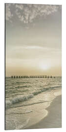 Aluminium print Idyllic sunset in Florida