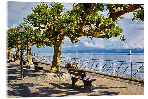 Acrylglas print Promenade on Lake Constance