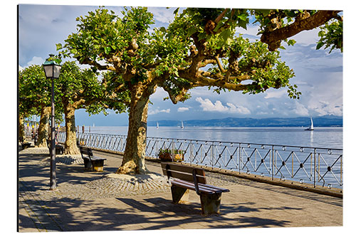 Aluminiumtavla Promenade on Lake Constance