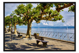 Gerahmter Kunstdruck Uferpromenade am Bodensee