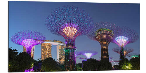 Alubild Supertrees bei Nacht, Singapur