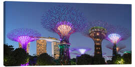 Canvastavla Supertrees by night, Singapore